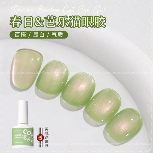 初莎网红爆款芭乐猫眼甲油胶