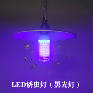 led诱虫灯养殖农用户外大棚水产养蛙黑光灯鱼塘专用昆虫引虫灯