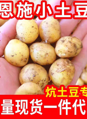 湖北恩施土豆新鲜高山黄心小土豆农家自种马铃薯硬币迷你小土豆