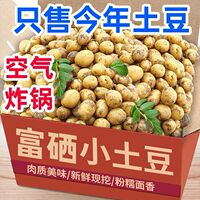 【硬币-珍珠大小】恩施高山黄心土豆农家自种马铃薯粉糯迷你土豆