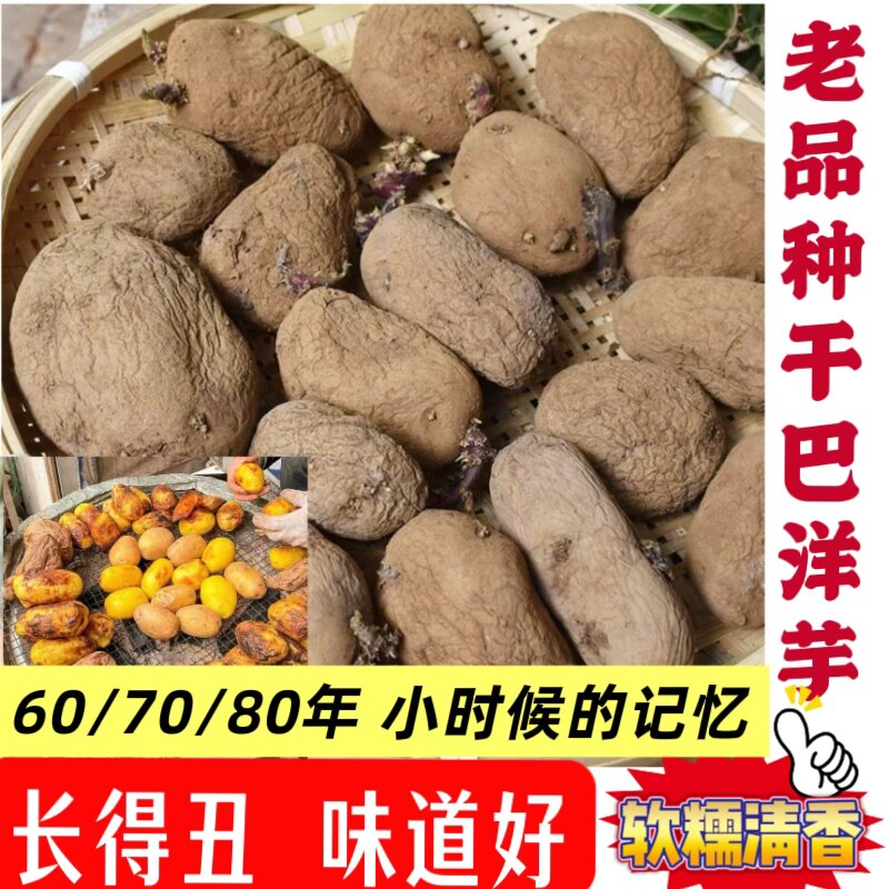 恩施云贵川憨包洋芋干巴洋芋老洋芋3/5/9斤老品种马尔科干瘪土豆