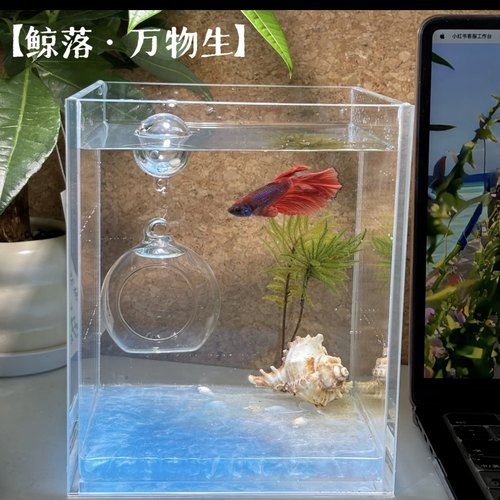 DIY鱼缸造景装饰品创意摆件玻璃房 斗鱼水晶工艺品音乐盒