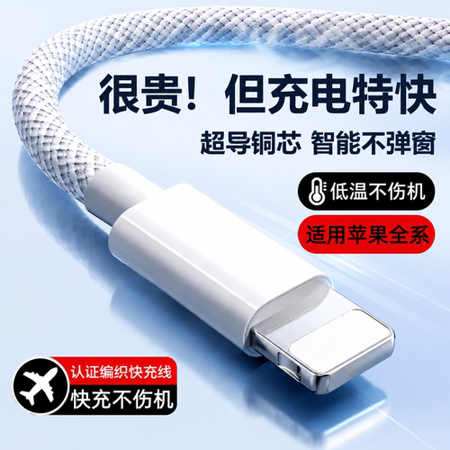适用苹果充电线器适用iphone17手机16por快充线15平板ipad14双typec口PD13闪充12编织11USB线45W20W