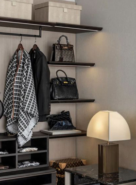 现代样板间女士衣服包包收纳托盘装饰品组合摆件软装衣橱全屋定制