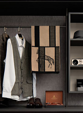 现代轻奢样板间软装衣柜服饰鞋子帽子展柜组合装饰品售楼处摆件