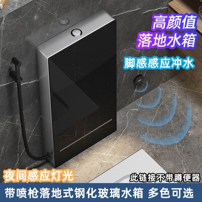 新款厕所蹲便器蹲坑智能冲水箱钢化玻璃家用落地感应冲水感应灯