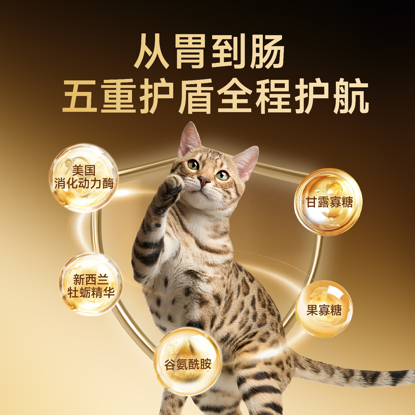 【D12李佳琦】诚实一口鲜肉黑金烘焙猫粮狗粮