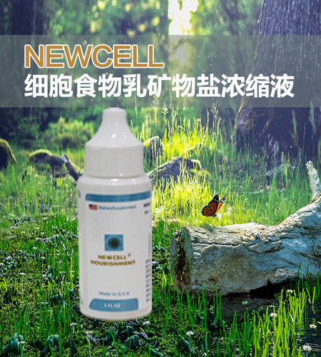 细胞食物乳矿物盐浓缩液