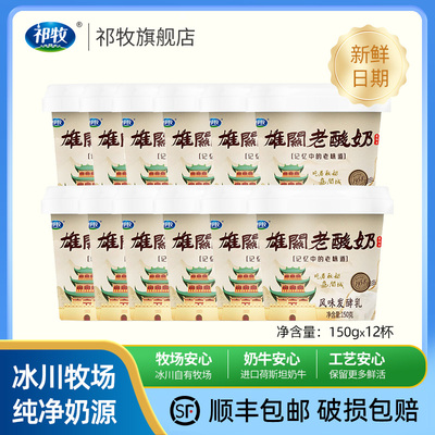 顺丰包邮甘肃祁牧雄关老酸奶风味发酵乳150g*12杯官方正品旗舰店