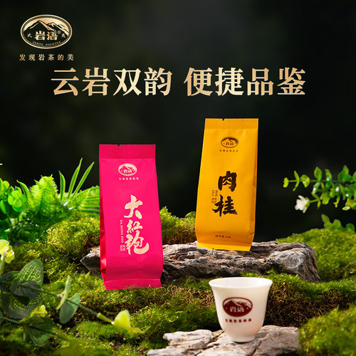 肉桂大红袍茶叶乌龙茶岩茶试喝