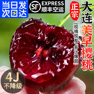 大连美早大樱桃新鲜水果顺丰包邮5斤装当季整箱4j3孕妇国产车厘子