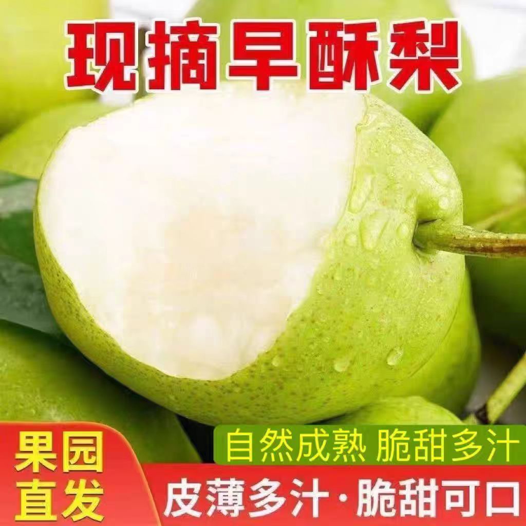 现摘早酥梨新鲜水果梨子脆梨青皮梨翠冠梨苹果梨时令水果整箱包邮