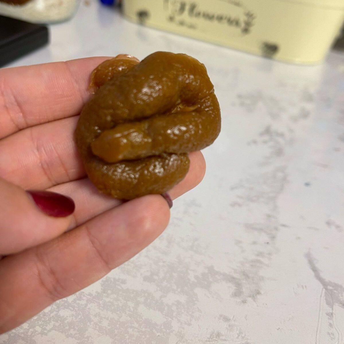 愚人节恶搞礼物整蛊玩具仿真大便拉屎网红奇葩沙雕恶作剧防真道w