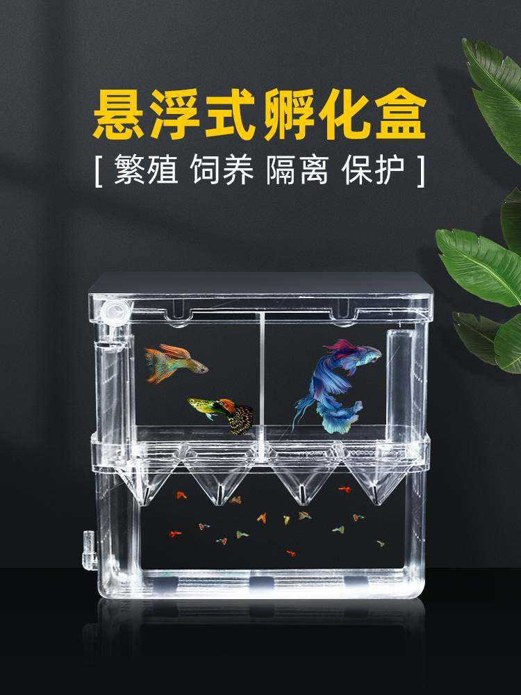 小鱼下崽分离器生鱼器隔离盒孔雀鱼繁殖专用鱼缸鱼产房孵化盒产卵