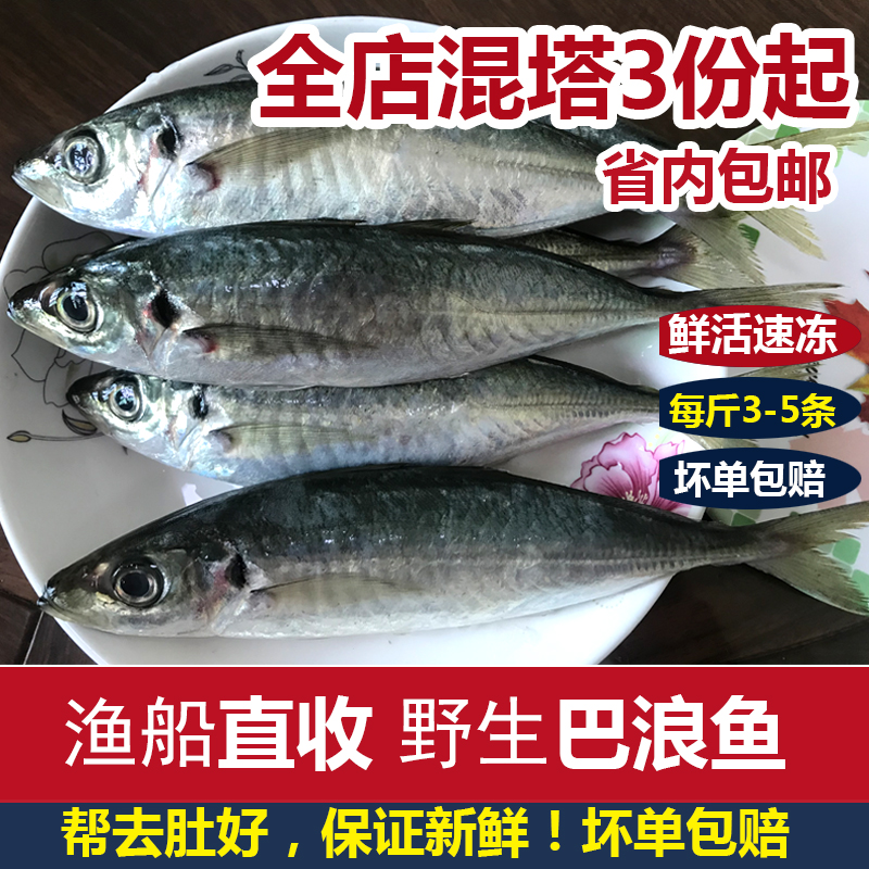 巴浪鱼当天海捕新鲜海鲜水产鲜活速冻每斤约3-5条500g 水产肉类/新鲜蔬果/熟食 其它 原图主图