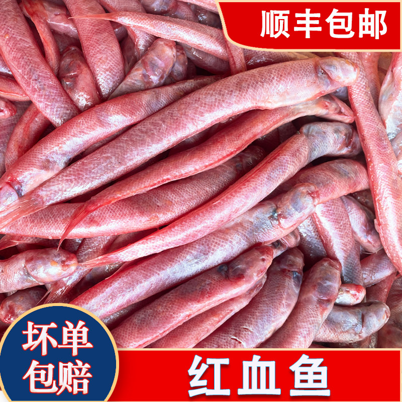 红血鱼鲜活潮汕海鲜水产特产冷冻速冻营养特色海鱼红头条鱼