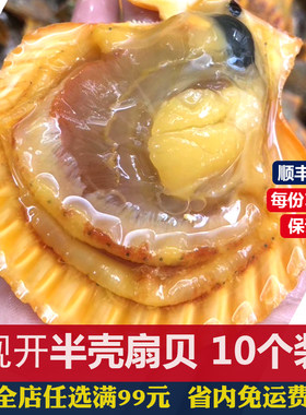 扇贝鲜活现开半壳新鲜冷冻海鲜水产肉贝类大黄带壳烧烤食材10个装