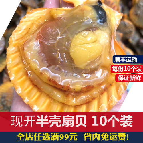 扇贝鲜活现开半壳新鲜冷冻海鲜水产肉贝类大黄带壳烧烤食材10个装