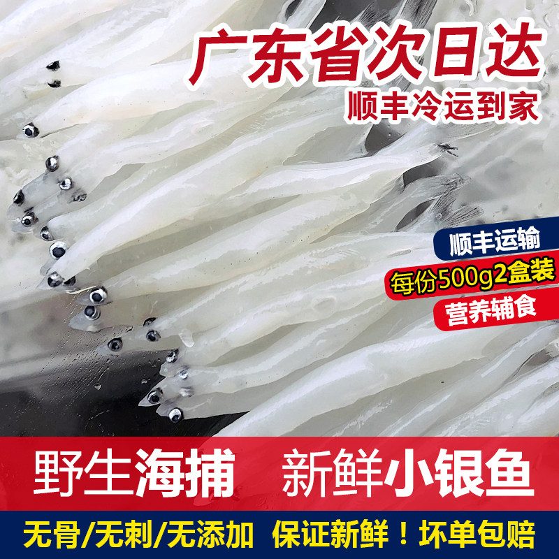 银鱼新鲜淡水小白条鱼潮汕海鲜水产孕妇儿童宝宝辅食海鱼大面条鱼,水产肉类/新鲜蔬果/熟食,淡水鱼类,淘宝优惠券,粉丝福利购,淘宝优惠卷