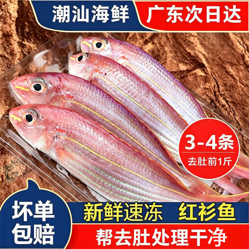 新鲜红杉鱼金丝鱼深海捕捞海水水产海钓红三鱼大条金线鱼500g
