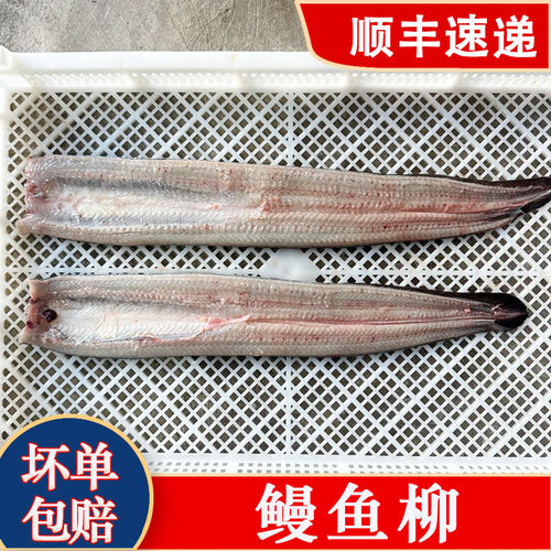 冷冻生鳗鱼片整条新鱼活杀新鲜速碳火日式韩式烤肉店专用商用鳗鱼
