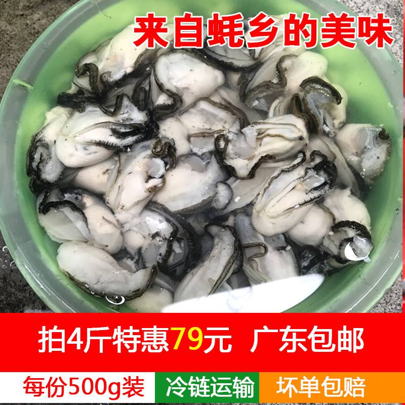 鲜活现剥冷冻蚝肉生蚝生耗水产牡蛎新鲜海鲜海蛎子去壳生蚝肉蛎蝗