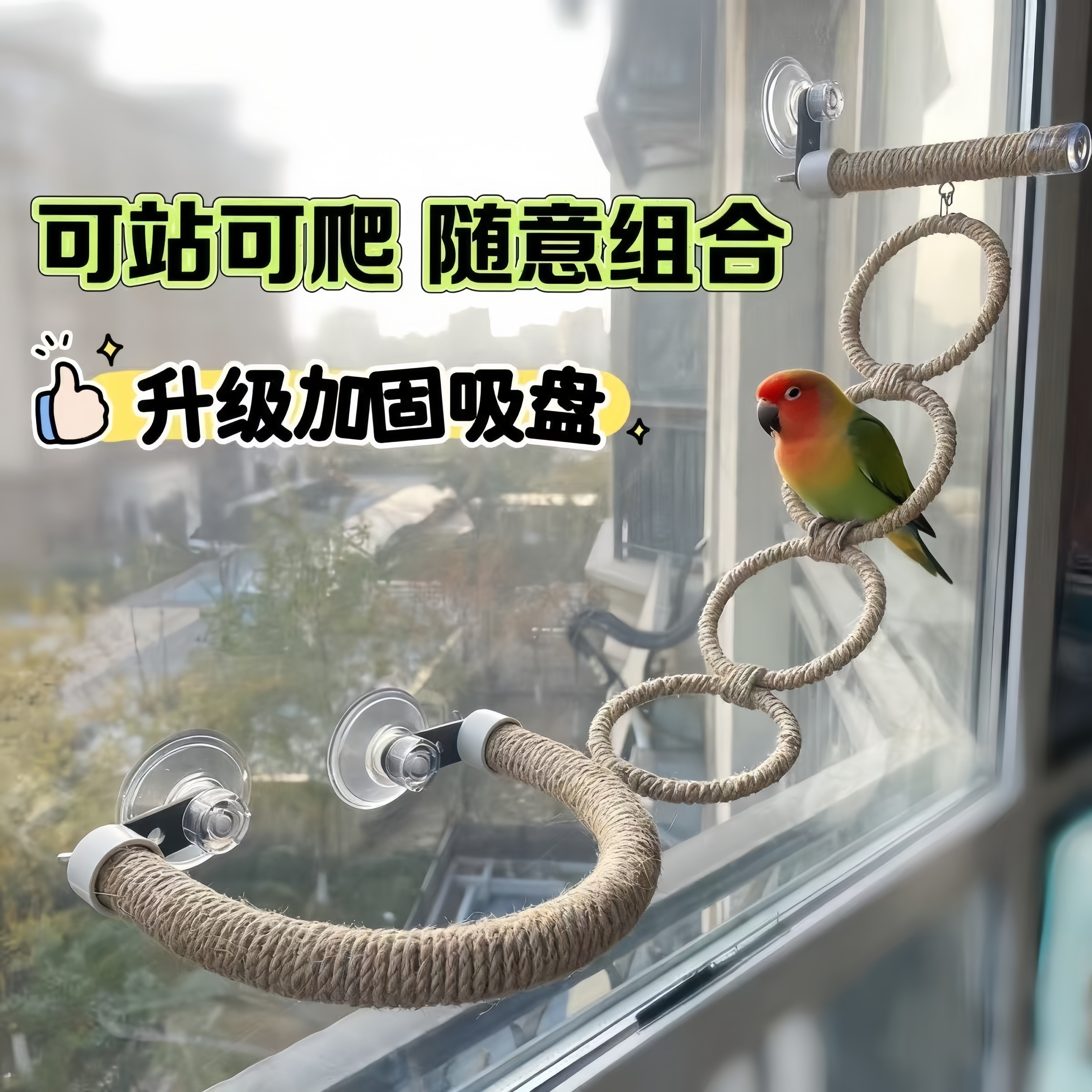 鹦鹉吸盘麻绳吊环秋千玩具攀爬虎皮牡丹玄凤磨牙啃咬创意站杆吊圈