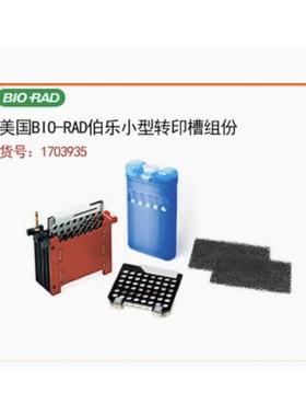 bio-rad伯乐Mini-trans-blot转印槽转膜1703935转印芯总代理