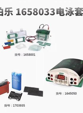 伯乐Bio-Rad电泳转印1658033垂直电泳仪1645050/16580013935