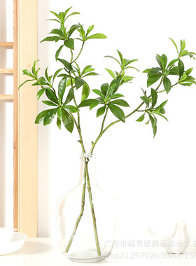 仿真植物 手感马醉木叶 家居装饰摄影摆件婚庆假花马醉木叶