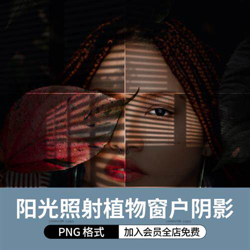 自然阳光植物窗户阴影效果设计展示摄影后期照片ps叠层png素材图