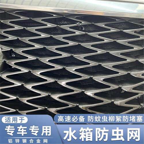 适用于16-21款雷克萨斯RX水箱防虫网rx300RX450h防柳絮蚊虫保护网