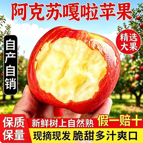 新疆嘎啦苹果现摘脆甜新疆直发