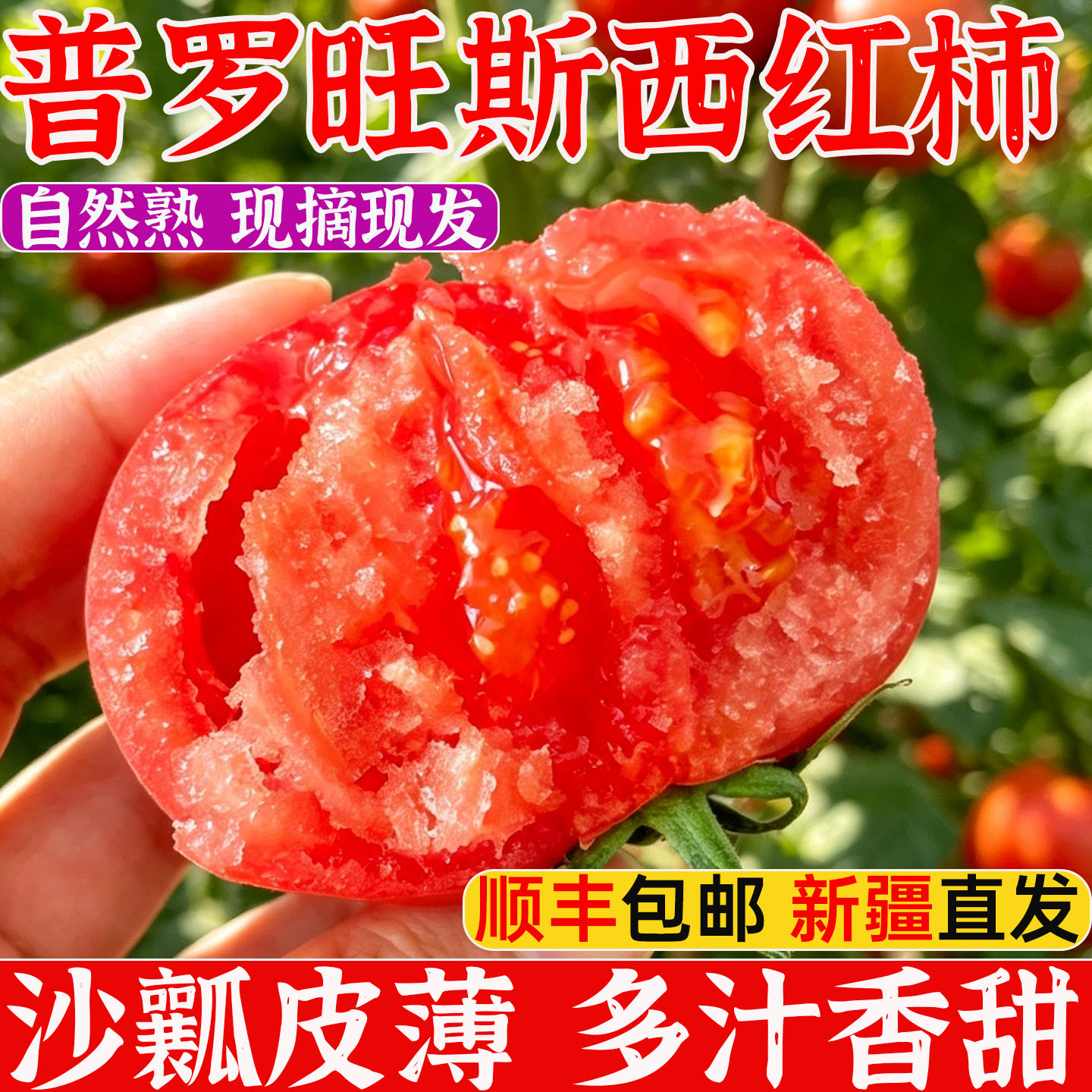 老味道沙瓤番茄新疆直供