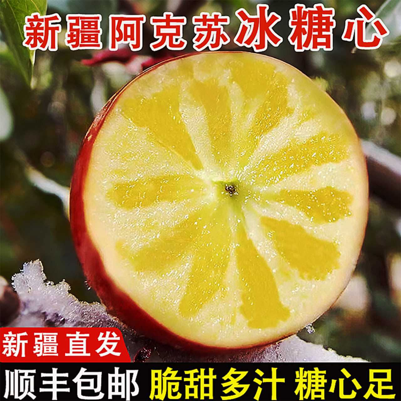 正宗阿克苏冰糖心苹果现摘现发