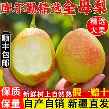 【顺丰包邮】新疆库尔勒香梨精选全母梨子长辈送礼孕妇新鲜水果