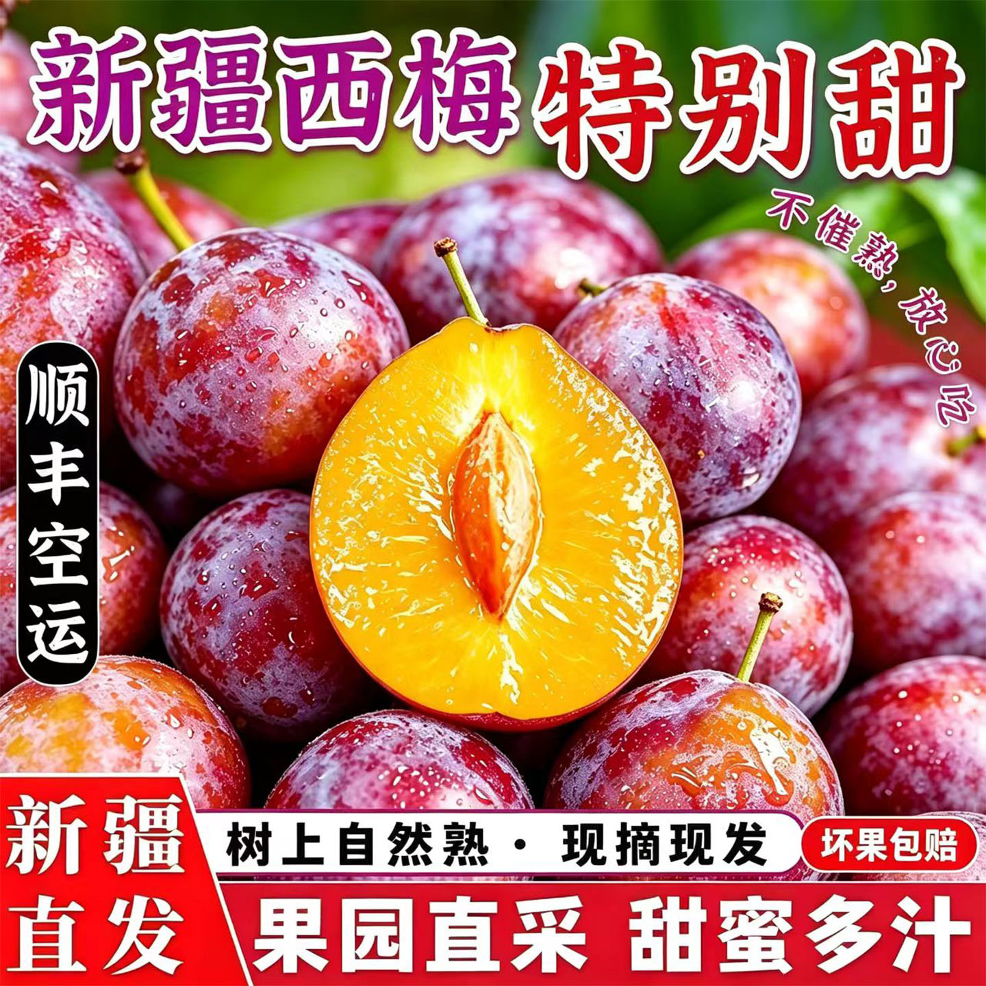 西梅新疆喀什法兰西鲜果李子现摘孕妇新鲜水果礼盒产地顺丰空运