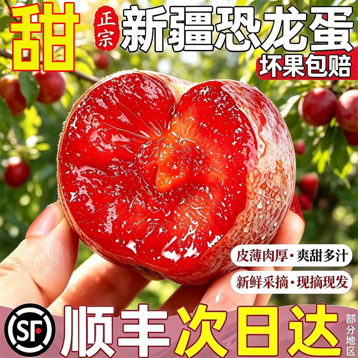 新疆恐龙蛋李子现摘味帝顺丰包邮