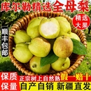 新疆库尔勒香梨精选全母梨子长辈送礼孕妇新鲜水果 包邮 顺丰