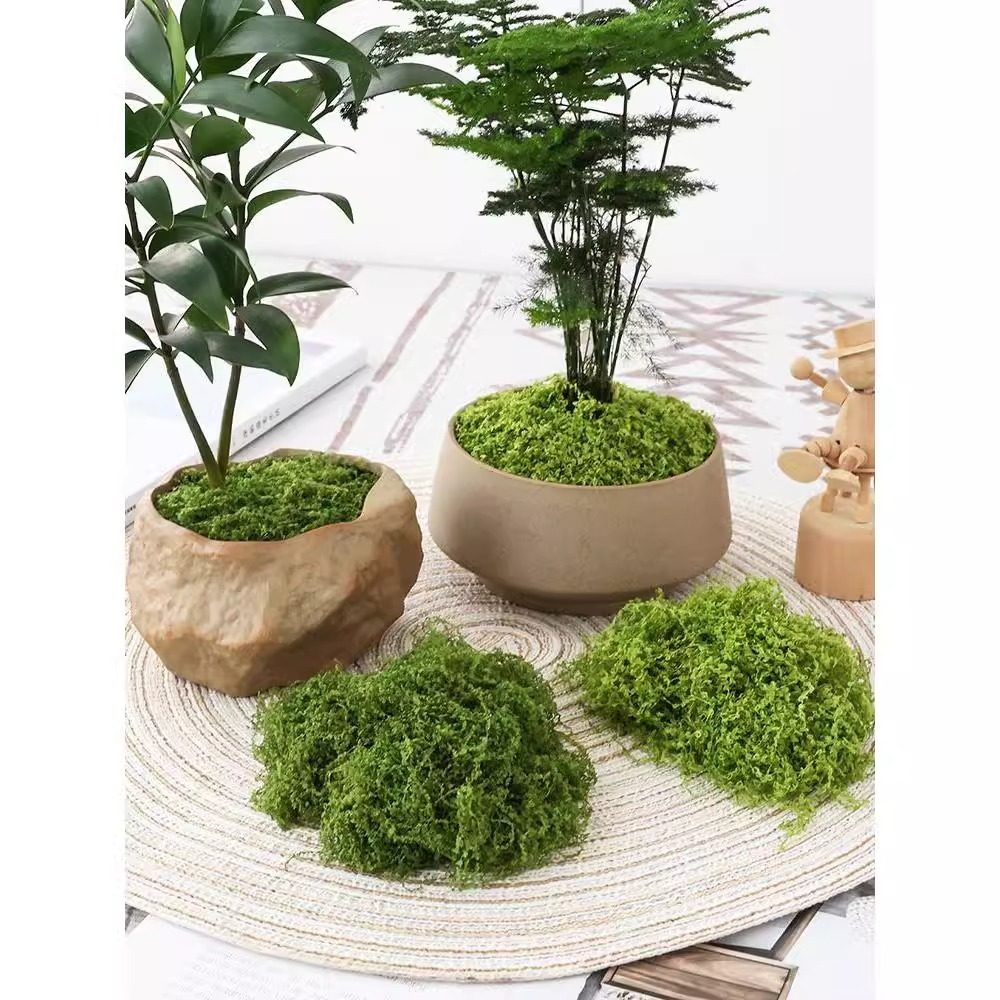 仿真苔藓植物微景观假山DIY沙盘模型地形粉造景人工草坪植绒毛粉,鲜花速递/花卉仿真/绿植园艺,仿真绿植,淘宝优惠券,粉丝福利购,淘宝优惠卷