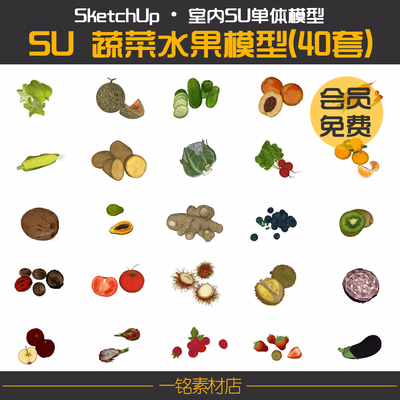 SketchU草图大师蔬菜水果玉米胡萝卜橘子猕猴桃SU模型设计素材库