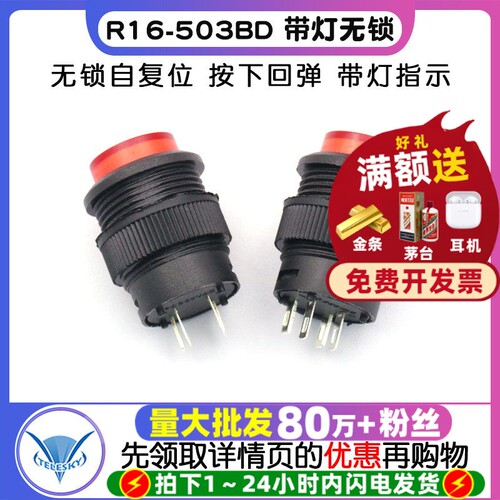 R16-503BD带灯无锁/自复位开关