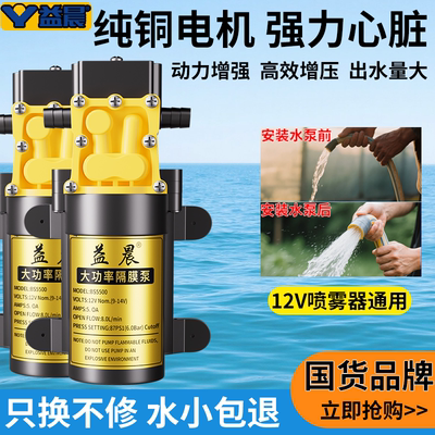 12v大功率通用纯铜喷雾器水泵