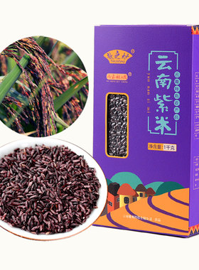 乌蒙秋城云南墨江紫米五谷杂粮
