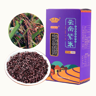 紫米墨江紫米血糯米新米紫糯米云南特产全胚芽米2斤包邮乌蒙秋城