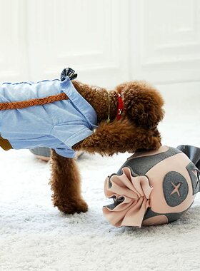 韩国宠物耐咬狗狗玩具小型互动狗嗅闻漏食球毛绒泰迪趣味玩具