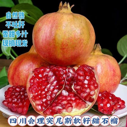 正宗四川会理突尼斯软籽石榴产地新鲜现摘现发特大果当季时令水果