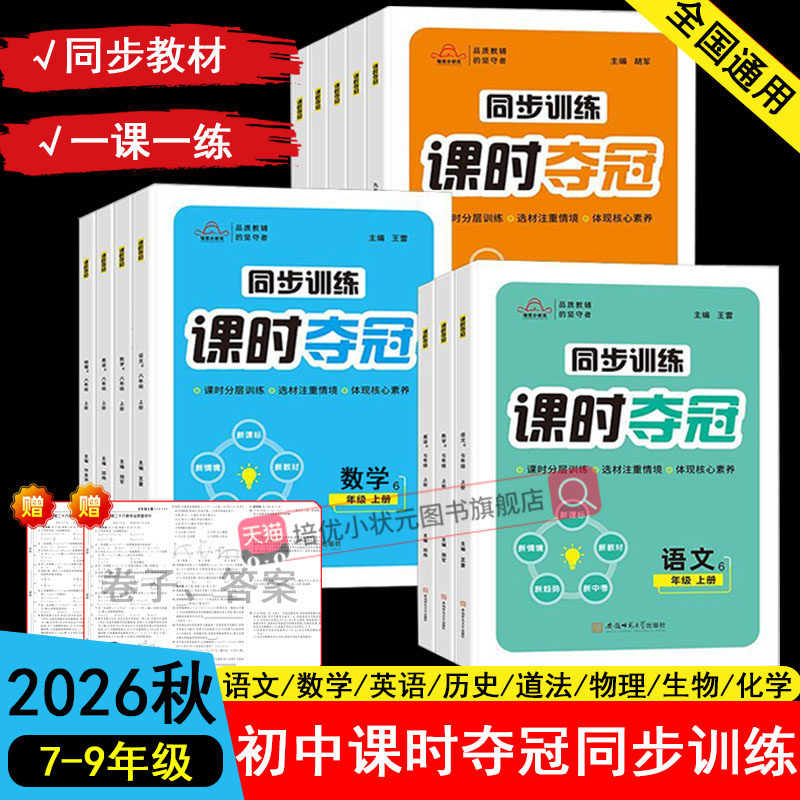 培优小状元初中课时夺冠同步训练