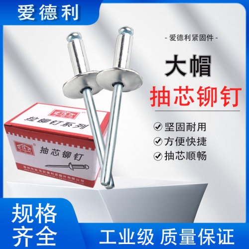 大帽抽芯铆钉铝合金不锈钢