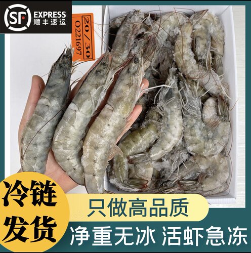 海洋大虾新鲜超大号基围虾鲜活速冻盐冻冷冻鲜活海捕海虾海鲜水产